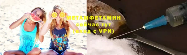прущие грибы Михайловск